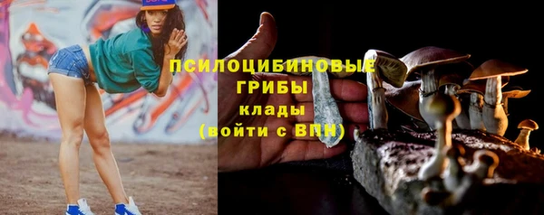 не бодяженный Арсеньев