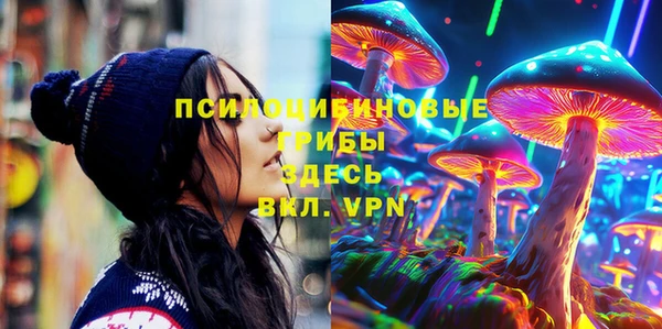 гашик Аркадак