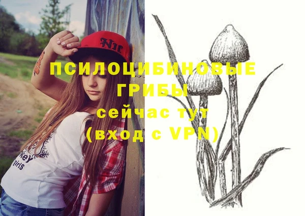 не бодяженный Арсеньев