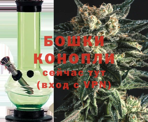 гашик Аркадак