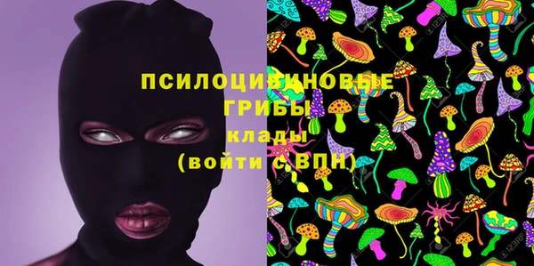 гашик Аркадак