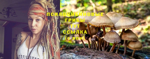 мяу мяу мука Армянск