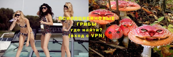 не бодяженный Арсеньев