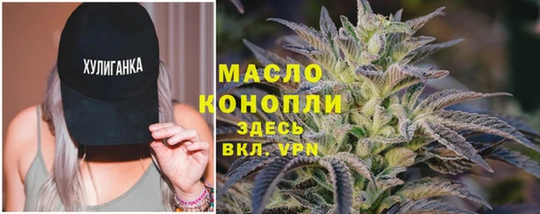 гашик Аркадак