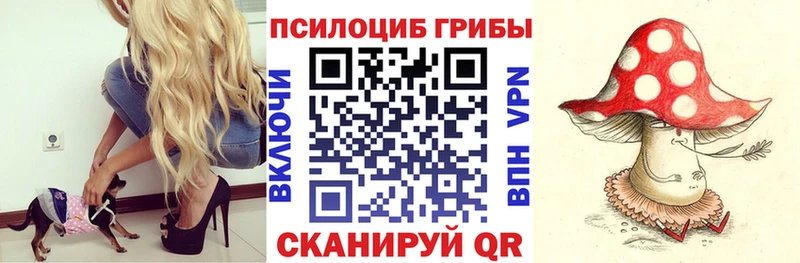 наркотики Фролово Псилоцибиновые грибы мицелий